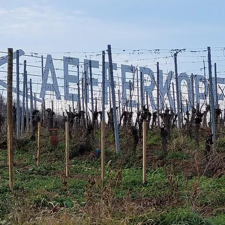 Les Toits Du Tonnelier Kaysersberg-Vignoble